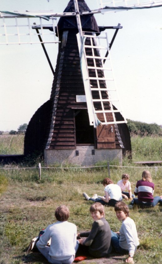 wicken84